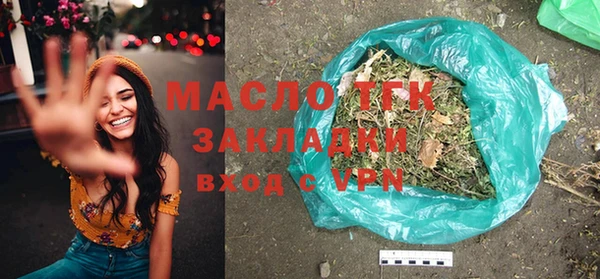 хмурый Аркадак