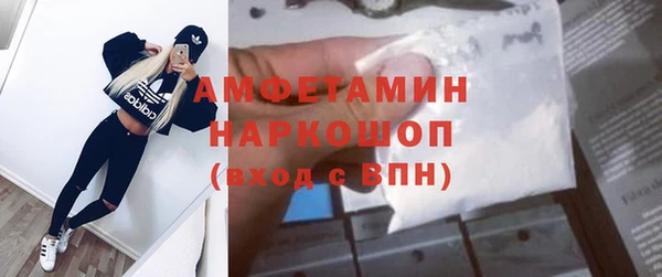 молекула духа Алексин