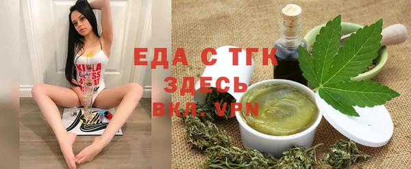 хмурый Аркадак