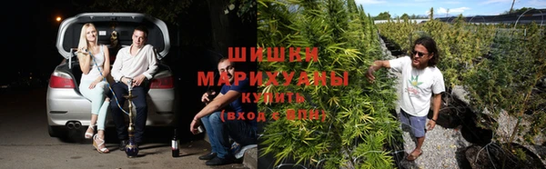 молекула духа Алексин