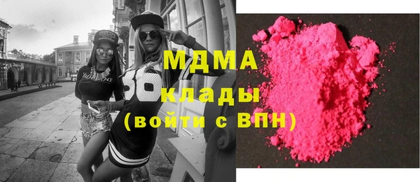 хмурый Аркадак
