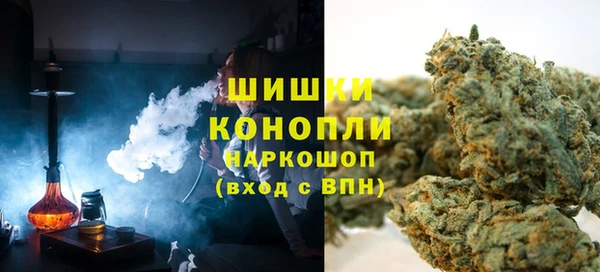 хмурый Аркадак
