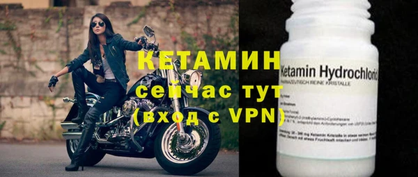 хмурый Аркадак