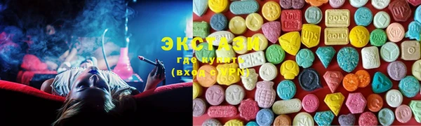 хмурый Аркадак