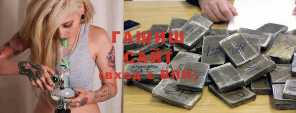 хмурый Аркадак