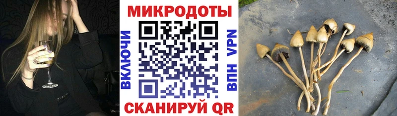 Псилоцибиновые грибы Cubensis  продажа наркотиков  Нурлат 